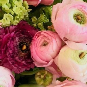 Meet your Posher, Anne